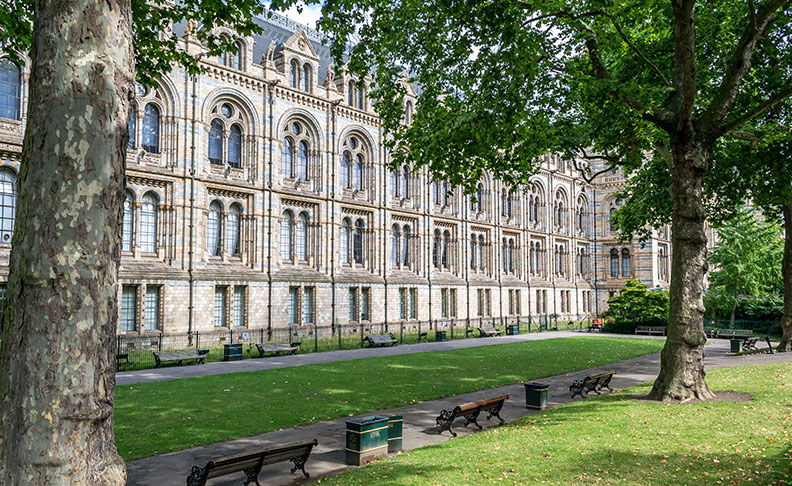 46af7d54d317af93d4d9d5286144a3a6