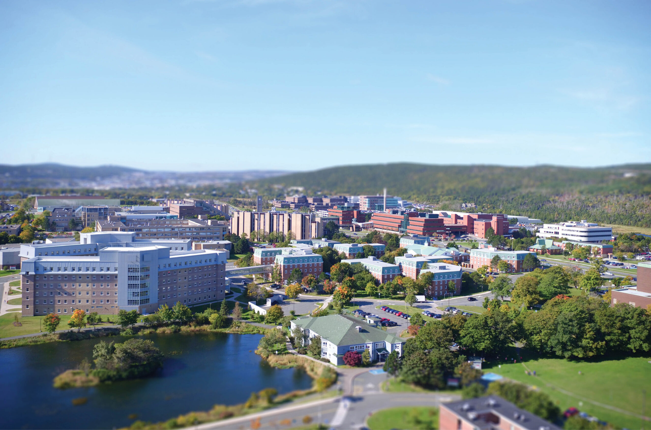 1920x1268-Memorial-Cuts-scaled